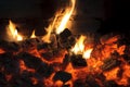 Smoldering fire and flames wood Royalty Free Stock Photo