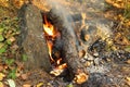 Smoldering fire in the forest Royalty Free Stock Photo