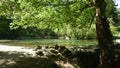 Smolenice Mere, Little Carpathians, Trnava Region, Slovakia