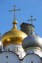 Smolensky cathedral cupolas in Novodevichy convent in Moscow Royalty Free Stock Photo