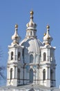 Smolny Cathedral of the Resurrection Royalty Free Stock Photo