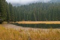 Smolyan lakes in Bulgaria. Royalty Free Stock Photo