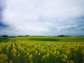 Smooth asphalt road with sky background