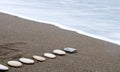 Smooth beach stones in a row Royalty Free Stock Photo