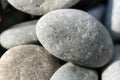 Smooth and beautiful pebbles on the beach in the sunlight close up Royalty Free Stock Photo