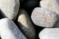 Smooth and beautiful pebbles on the beach in the sunlight close up Royalty Free Stock Photo