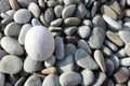 Smooth and beautiful pebbles on the beach in the sunlight close up Royalty Free Stock Photo