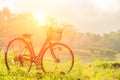 Smooth and beautiful scenery with a bike as the sun rises over the horizon. Vintage style light effect The gentle focus of the bic Royalty Free Stock Photo