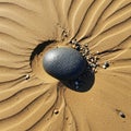 A smooth, black pebble sits on sandy terrain with symmetrical ripples radiating outward, creating a Royalty Free Stock Photo