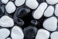 Smooth black and white river stones Royalty Free Stock Photo