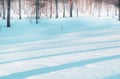 Smooth blue stripes of shadows on white pure snow, shadows from trees in a winter forest on a Sunny day, a magical landscape Royalty Free Stock Photo