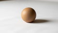 Appears natural with a slightly matte finish typical of an egg s Royalty Free Stock Photo