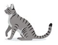 Smooth coated tabby cat with long tail icon, cute gray pet, domestic animal, vector illustration Royalty Free Stock Photo