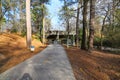 A smooth concrete bike path with a yellow line in the park surrounded by lush green and autumn colored trees Royalty Free Stock Photo