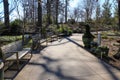 A smooth curved concrete footpath in the park with brown wooden benches along the path and large green flower pots Royalty Free Stock Photo