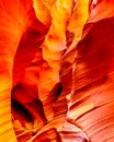 The smooth curved Red Navajo Sandstone walls of Rattlesnake Canyon