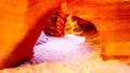 The smooth curved Red Navajo Sandstone walls of Rattlesnake Canyon