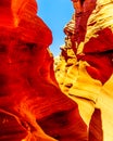 The smooth curved Red Navajo Sandstone walls of Rattlesnake Canyon