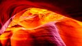 The smooth curved Red Navajo Sandstone walls of Rattlesnake Canyon