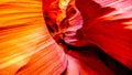 The smooth curved Red Navajo Sandstone walls of Rattlesnake Canyon