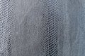 Smooth grey snake skin with a distinctive natural pattern