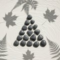 And fern leaves are projected as shadows on the sand, adding depth and Royalty Free Stock Photo