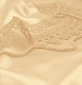 Smooth elegant golden silk or satin with pearls and lace as wedding background. In Sepia toned. Retro style Royalty Free Stock Photo