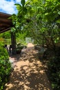 A smooth footpath in the garden with a stone entry way surrounded by lush green trees, grass and plants with gorgeous blue sky Royalty Free Stock Photo