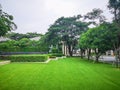 Smooth and fresh green grass lawn as a carpet in garden backyard, good care maintenance landscapes decorated with flowering plant