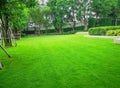 Smooth and fresh green grass lawn as a carpet in garden backyard, good care maintenance landscapes decorated with flowering plant