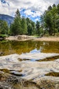 Glassy water in the foreground with tall trees and white clouds looking over the Merced River in Yosemite National Park Royalty Free Stock Photo