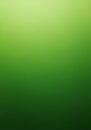 A smooth gradient background transitions from light to dark green, creating a soothin Royalty Free Stock Photo
