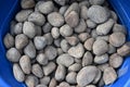 Smooth Gray Pebbles in Blue Container Royalty Free Stock Photo