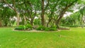 Smooth green grass lawn in good care maintenance garden, decorated with flowering plant, shrub and bush under shading trees Royalty Free Stock Photo