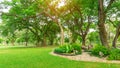 Smooth green grass lawn in good care maintenance garden, decorated with flowering plant, shrub and bush under shading trees Royalty Free Stock Photo