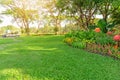 Smooth green grass lawn in good care maintenance garden, flowering plant, shurb and trees on backyard under morning sunlight Royalty Free Stock Photo
