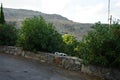 A smooth-haired black-gray-white cat lies on a stone fence near oleander bushes in the vicinity of the city of Lindos. Royalty Free Stock Photo