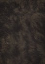 Smooth-haired brown pile on the skin of a wild animal.Texture or background Royalty Free Stock Photo