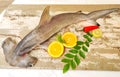 Smooth Hammerhead Shark decorated with herbs and fruits. isolated on white Background.Selective focus Royalty Free Stock Photo