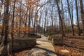 A smooth long winding footpath with a metal hand rail in the garden surrounded by bare winter trees and lush green plants Royalty Free Stock Photo