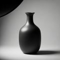 A smooth, matte black ceramic vase is centered against a softly Royalty Free Stock Photo
