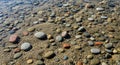 Smooth multicolored pebbles of varying sizes are scattered across a sandy Royalty Free Stock Photo