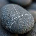 A smooth, oval-shaped pebble with a dark gray surface, marked by intersecting white Royalty Free Stock Photo