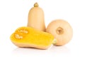 Smooth pear shaped orange butternut squash waltham isolated on white Royalty Free Stock Photo