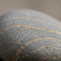 Smooth pebble with intricate patterns of curved, parallel beige lines embedded in a Royalty Free Stock Photo