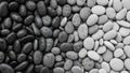 Smooth pebbles are arranged in a gradient from dark black to light gray Royalty Free Stock Photo