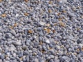 Smooth pebbles of different colors and sizes Royalty Free Stock Photo