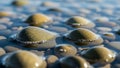 Form around the edges of the stones adding an interesting detail to Royalty Free Stock Photo