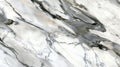 Smooth Polished Marble Surface with Natural Gray Veining for Interior Design and Architectural Projects