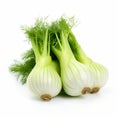 Smooth And Polished White Onion And Dill Frond: A Health Goth Delight Royalty Free Stock Photo